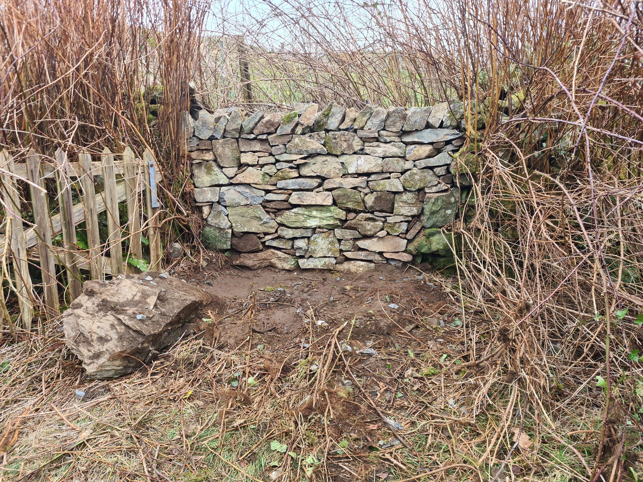 Preserving South Devon’s Heritage: How Brett Robins Brings Historic Stonework Back to Life